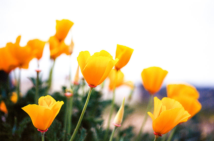 UNITED AND RESILIENT